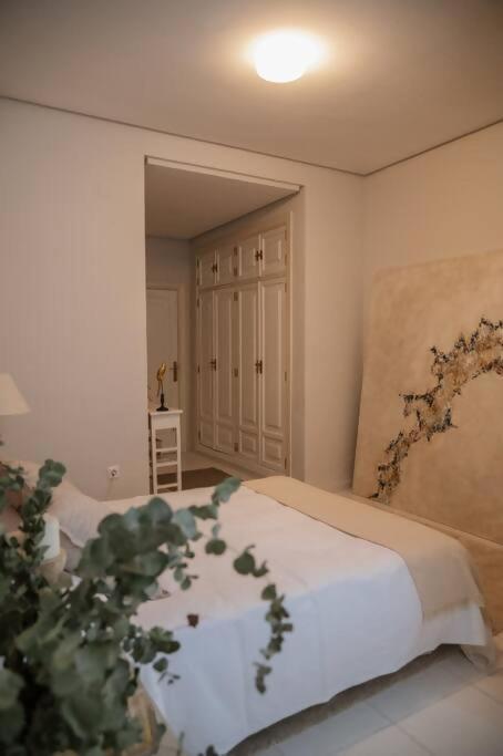 Casa Aguila Casco Antiguo Patio Privado Apartment Caceres Ngoại thất bức ảnh